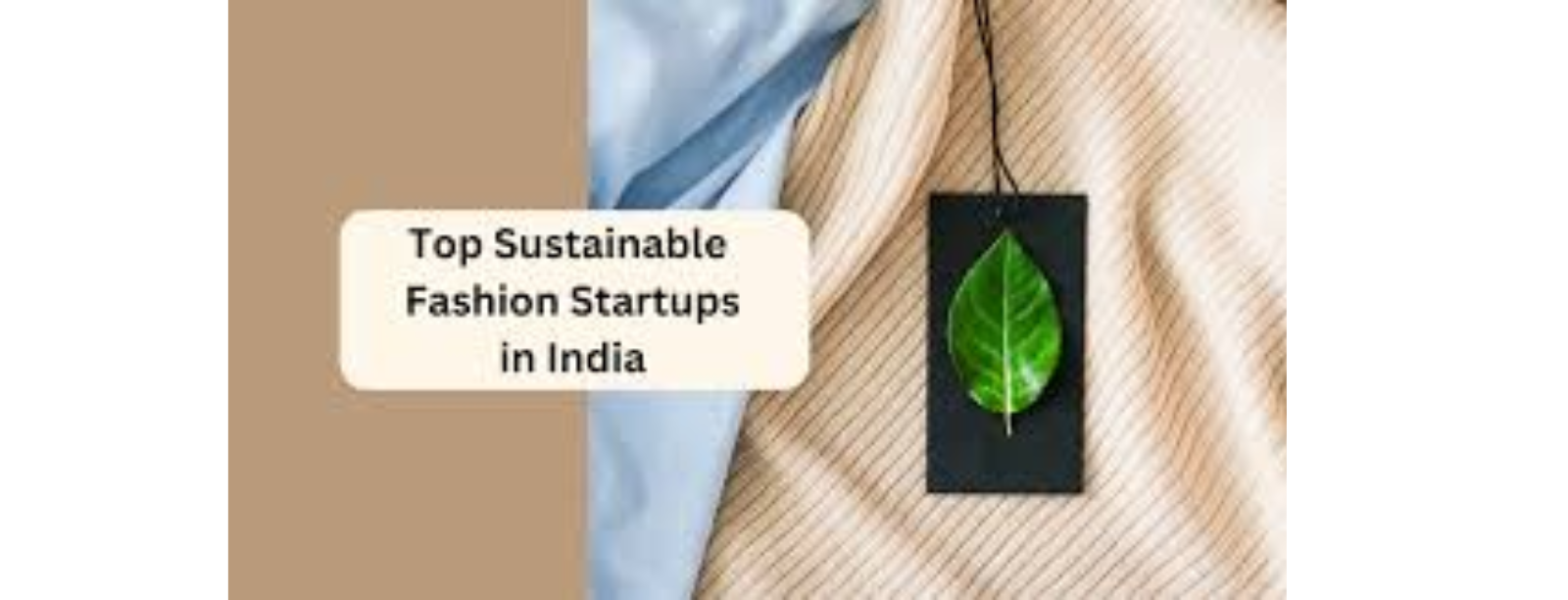 Top 10 Sustainable Fashion Startups in india